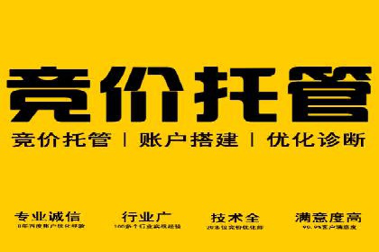 SEM托管实战案例：揭秘高效广告投放秘诀
